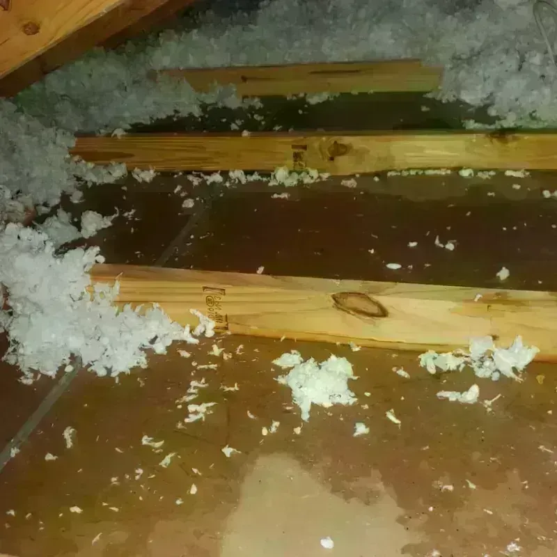 Attic Water Damage in Calais, ME